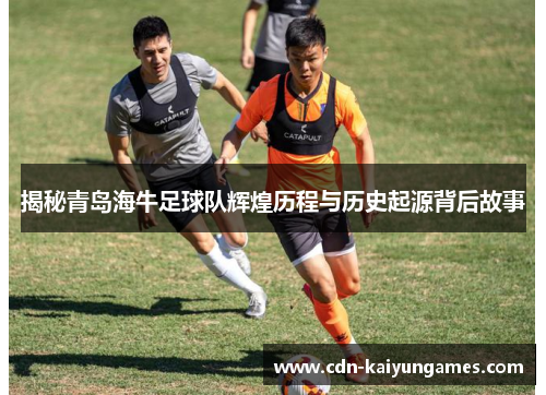 揭秘青岛海牛足球队辉煌历程与历史起源背后故事